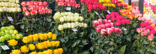 выставка - продажа цветов